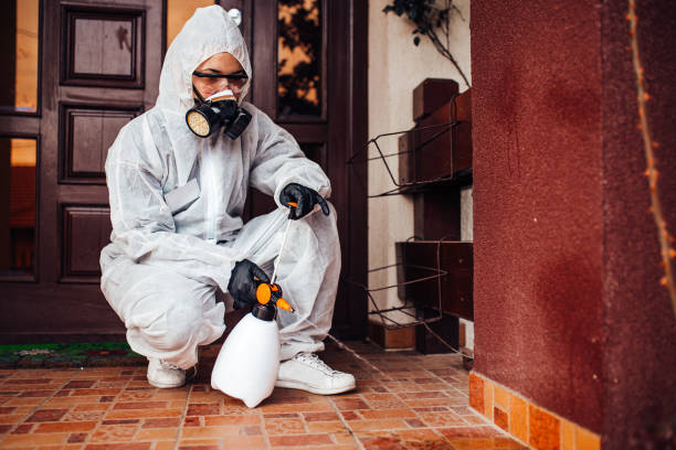 Reliable Wasp Removal contractor in Fraser, CO by Show Me Pest Control